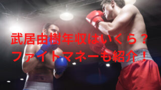 武居由樹年収はいくら？ファイトマネーも紹介！