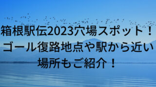 箱根駅伝2023穴場スポット！ゴール復路地点や駅から近い場所もご紹介！